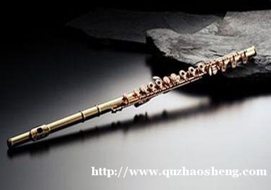 【音飞文化】郑州长笛培训 【音飞文化】郑州长笛培训