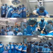 ����ѧϰ΢�����������������ѵѧУ