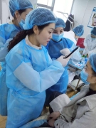 ����ʡ2019�϶����΢������ѵѧУ������