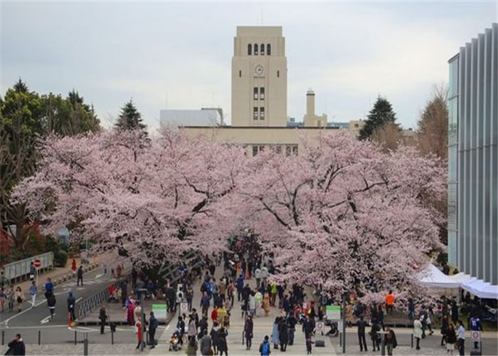 靖江日语培训,靖江学习日语能选择什么工作 靖江日语培训,靖江学习日语能选择什么工作