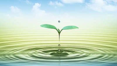 武汉美联托福高效5人班 武汉美联托福高效5人班