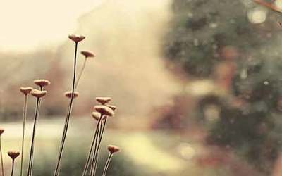 武汉欧亚外语俄语高考培训班 武汉欧亚外语俄语高考培训班