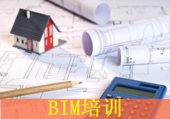 ɽBIMѵ