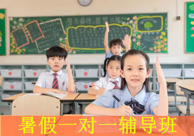 苏州纳思暑假一对一辅导班 苏州纳思暑假一对一辅导班