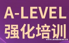 ݸ¶A-Levelѵ